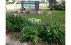 Property photo 2 - REAL ESTATE AUCTION, Crossroads Flowers